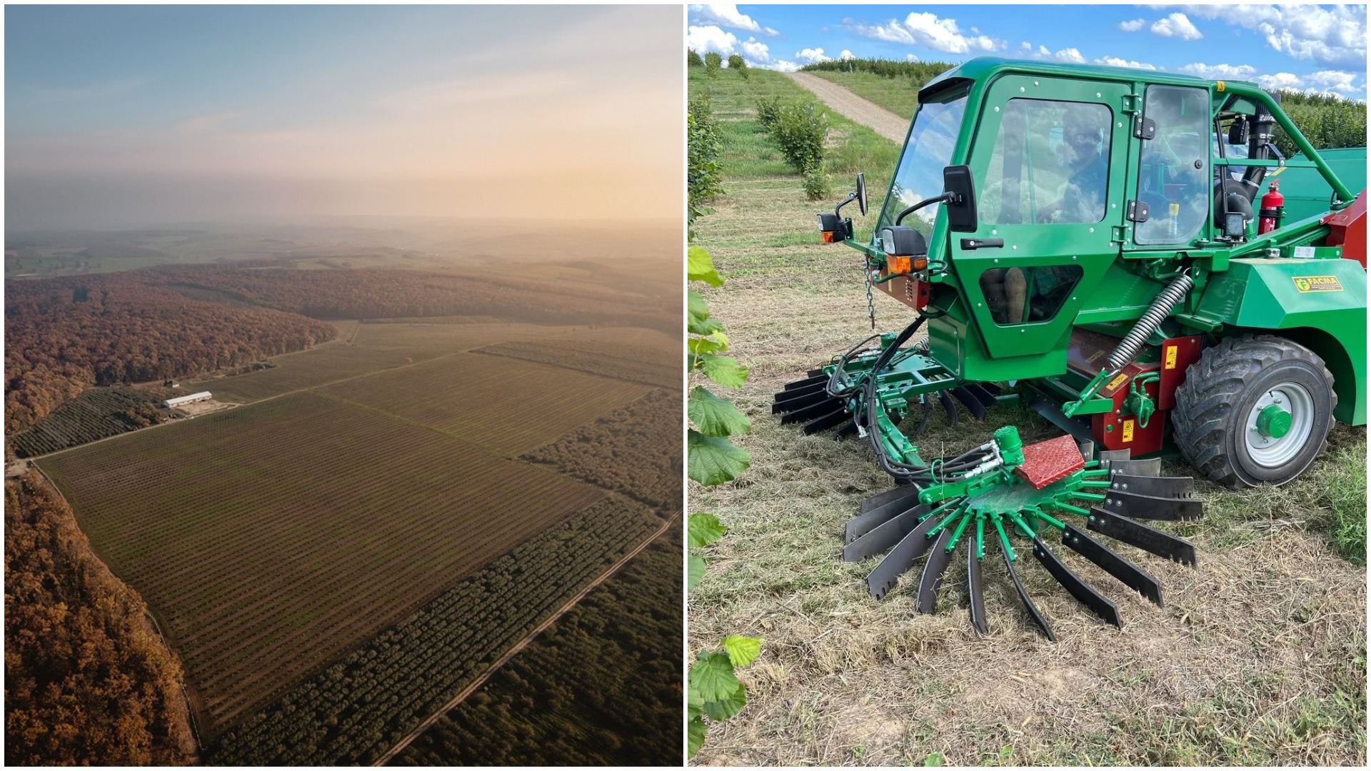 allu, alune de padure, bio, vehicul