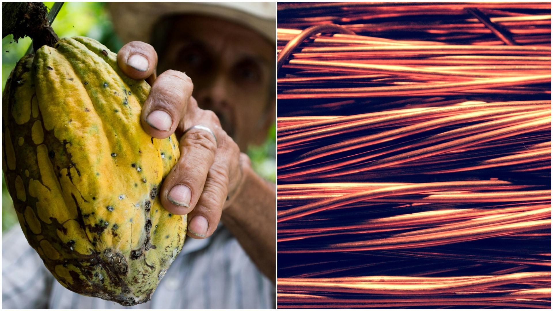 cacao, cupru, pret, ciocolata