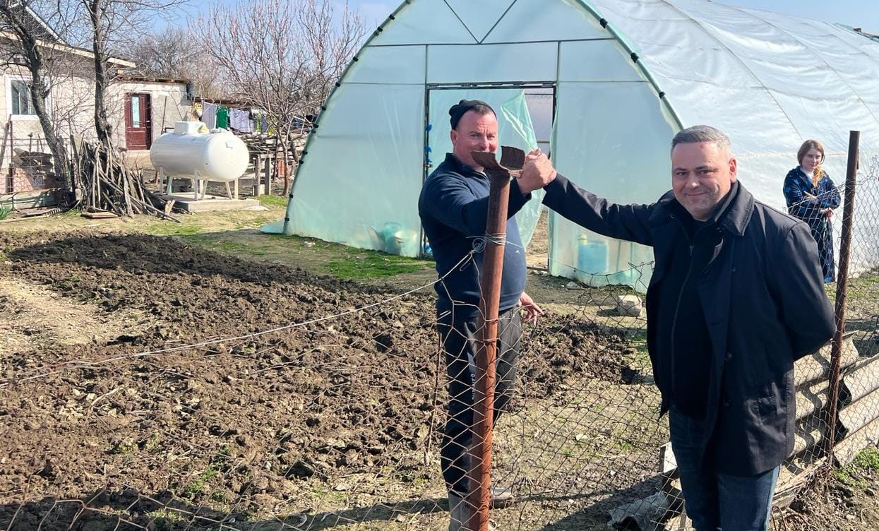 Florin Barbu, puiul galben, porumb, Franța