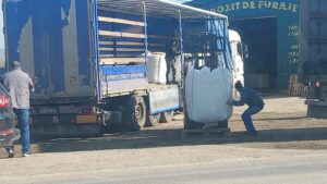 cereale Ucraina fasole comert