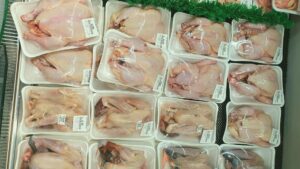 transavia, pui, ioan popa, tendinte