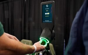 fructe avocado Belgia scaner