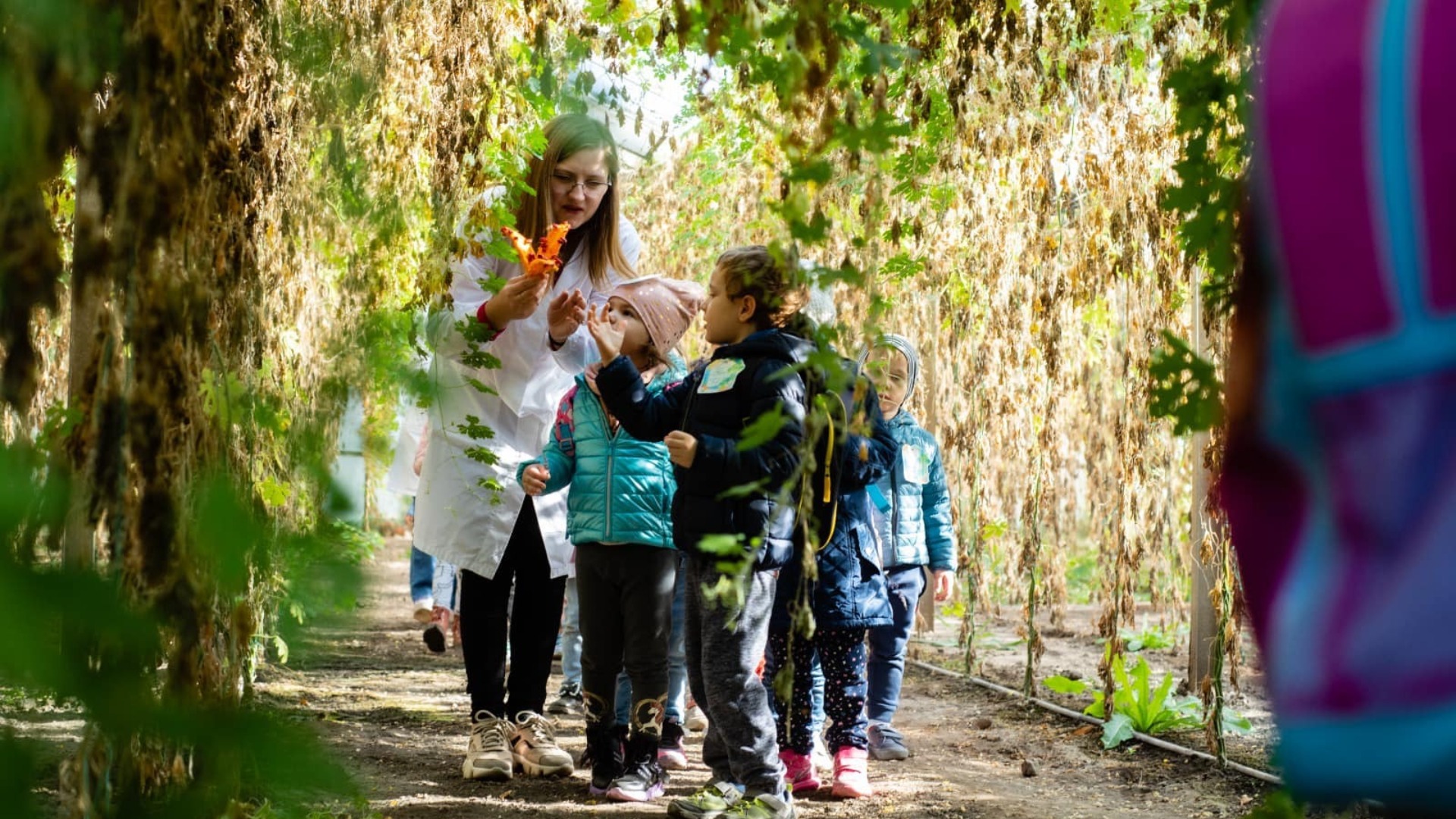 societatea de cercetare legumicola, buzau, puz, ajutor