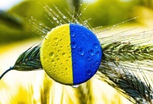 ucraina, alimente, cereale, uniunea europeana