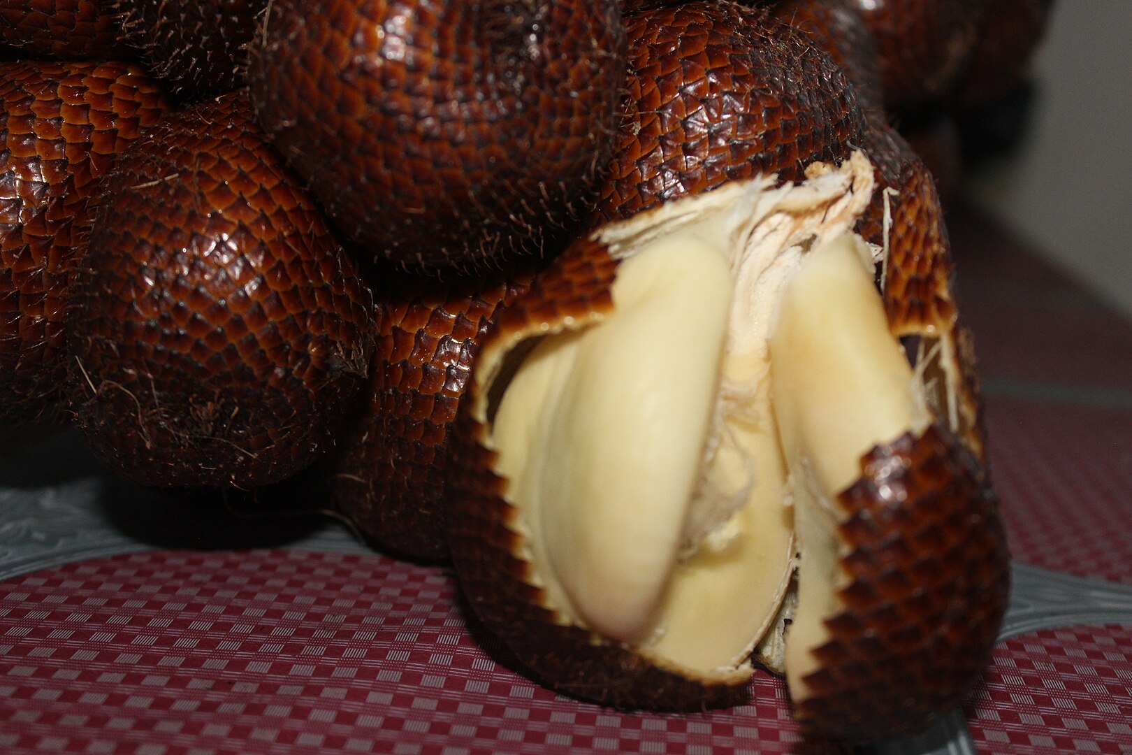 salak, fructul sarpelui