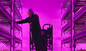 ferma, anglia, tehnologie, legume