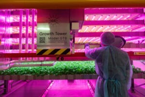 gigafarm, emiratele arabe unite, ferme verticale, risipa alimentara