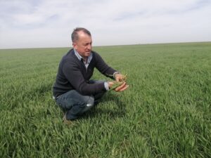 apa, irigatii, Dobrogea, cereale