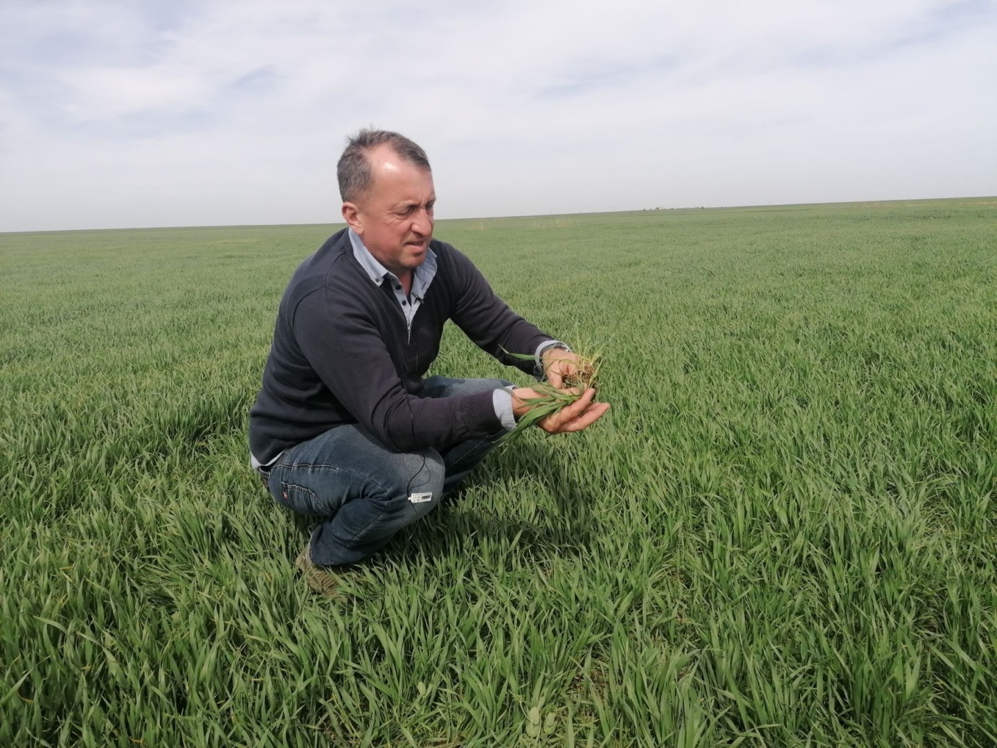 apa, irigatii, Dobrogea, cereale