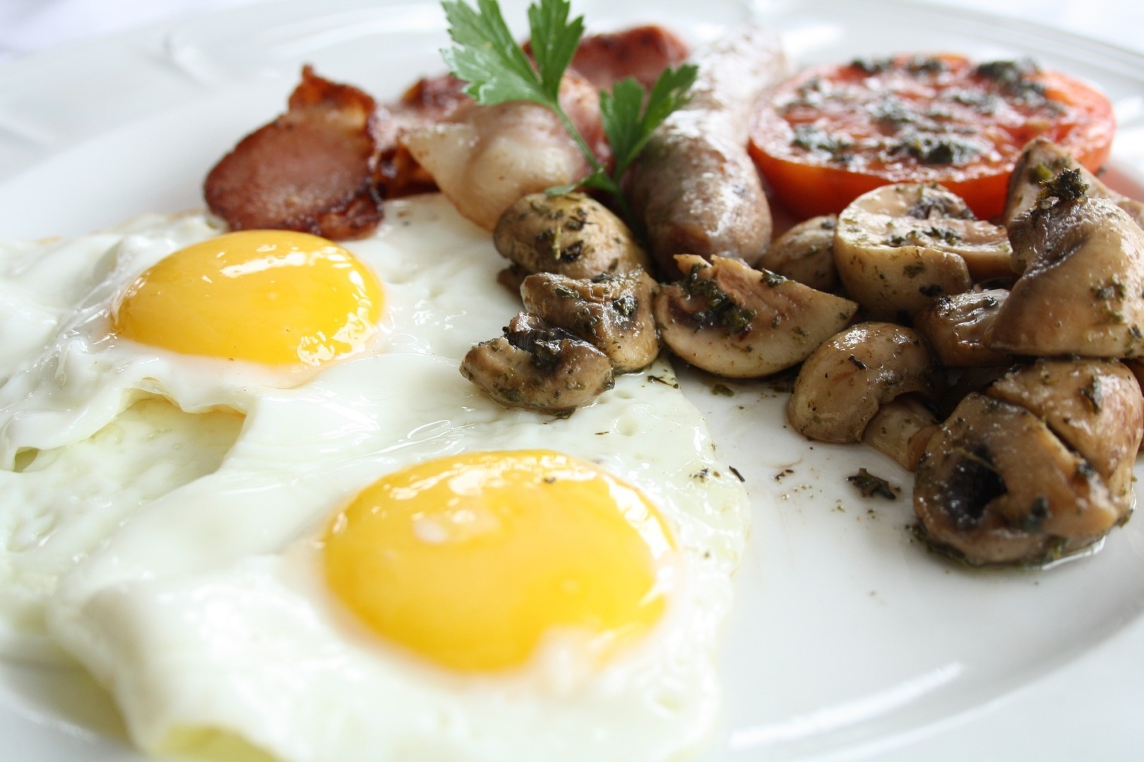 oua, oase, sanatate oase, studiu