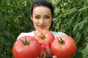 rosii, hipertensiune arteriala, studii clinice, cardiologie