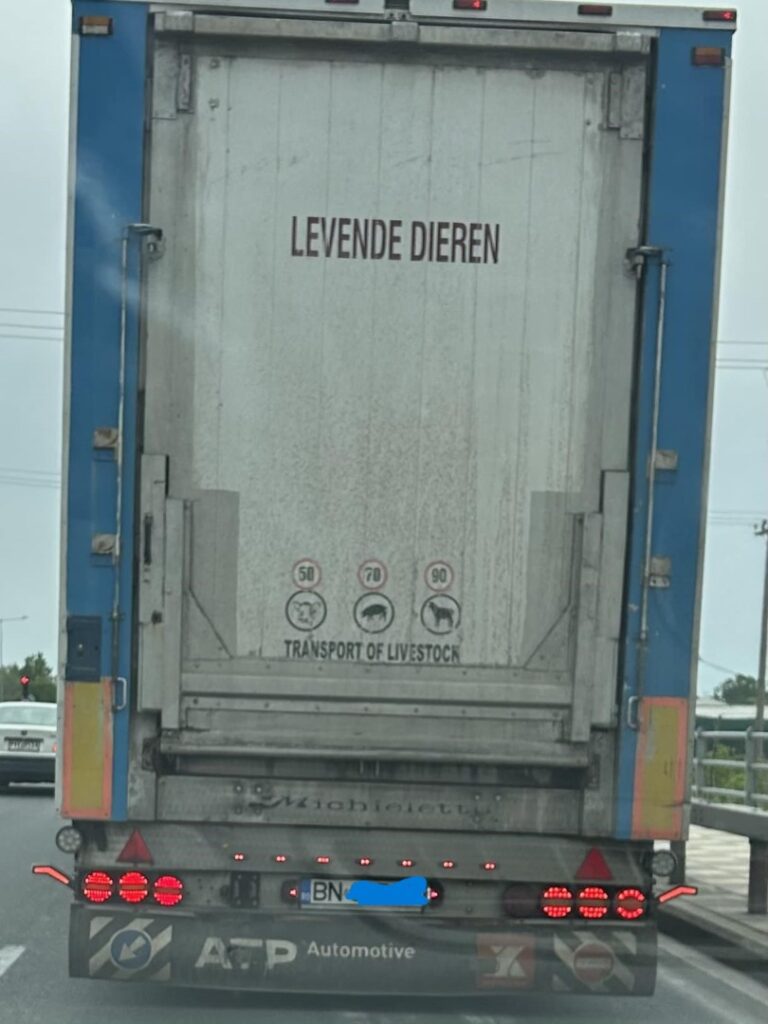 camion, ovine, Romania 