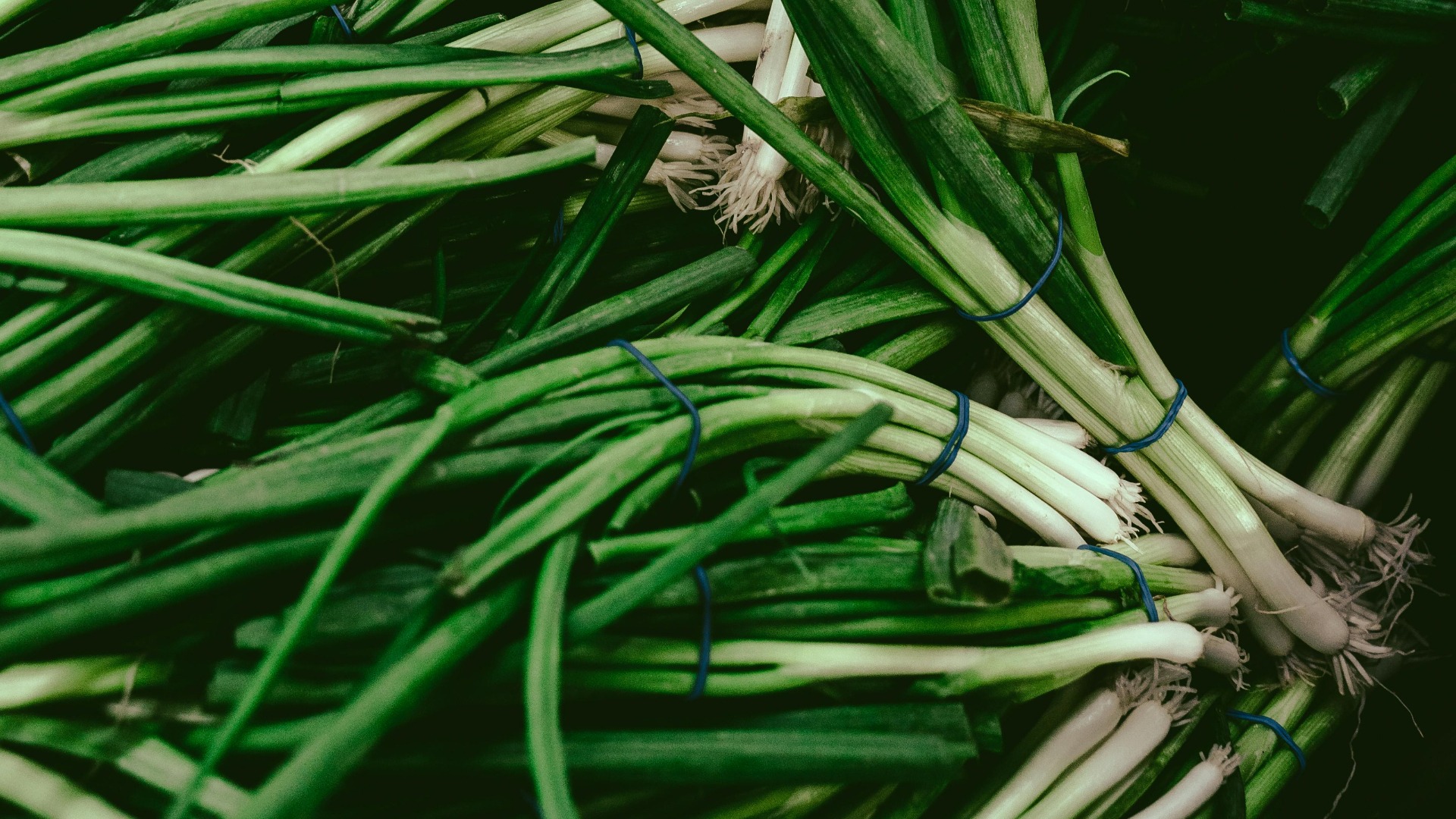 pesticide, legume, ceapa verde, spanac