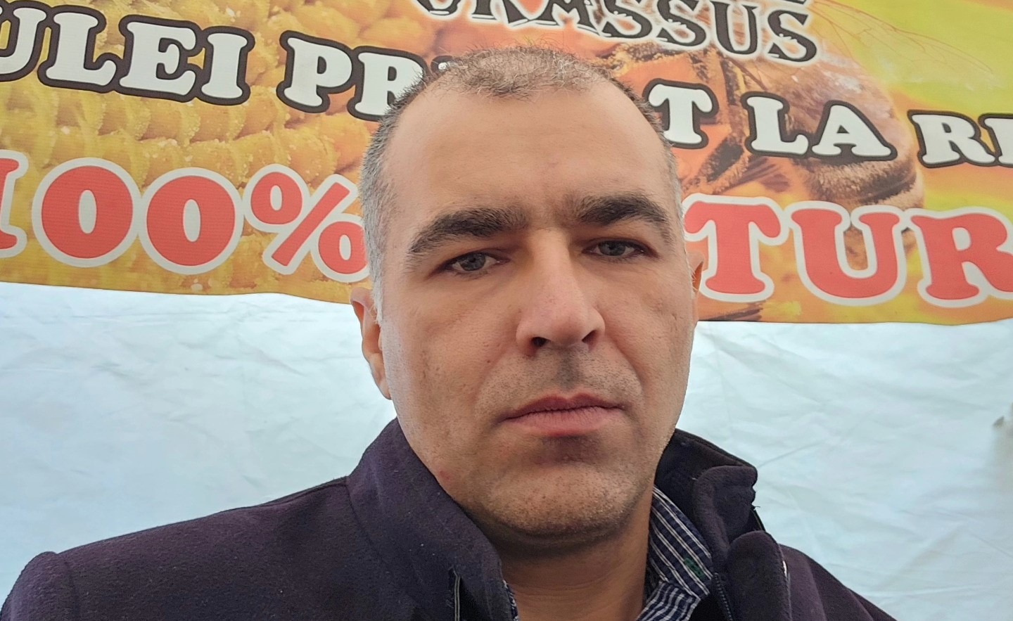 floarea soarelui, semințe, procesare la rece, ulei