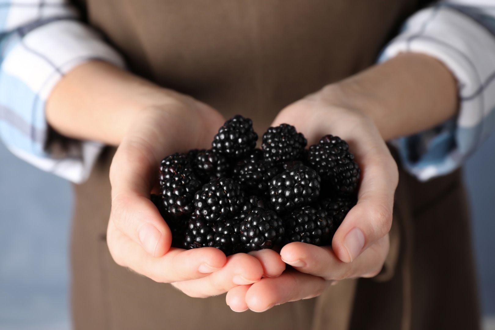 fructe, proteine, slabit, avocado