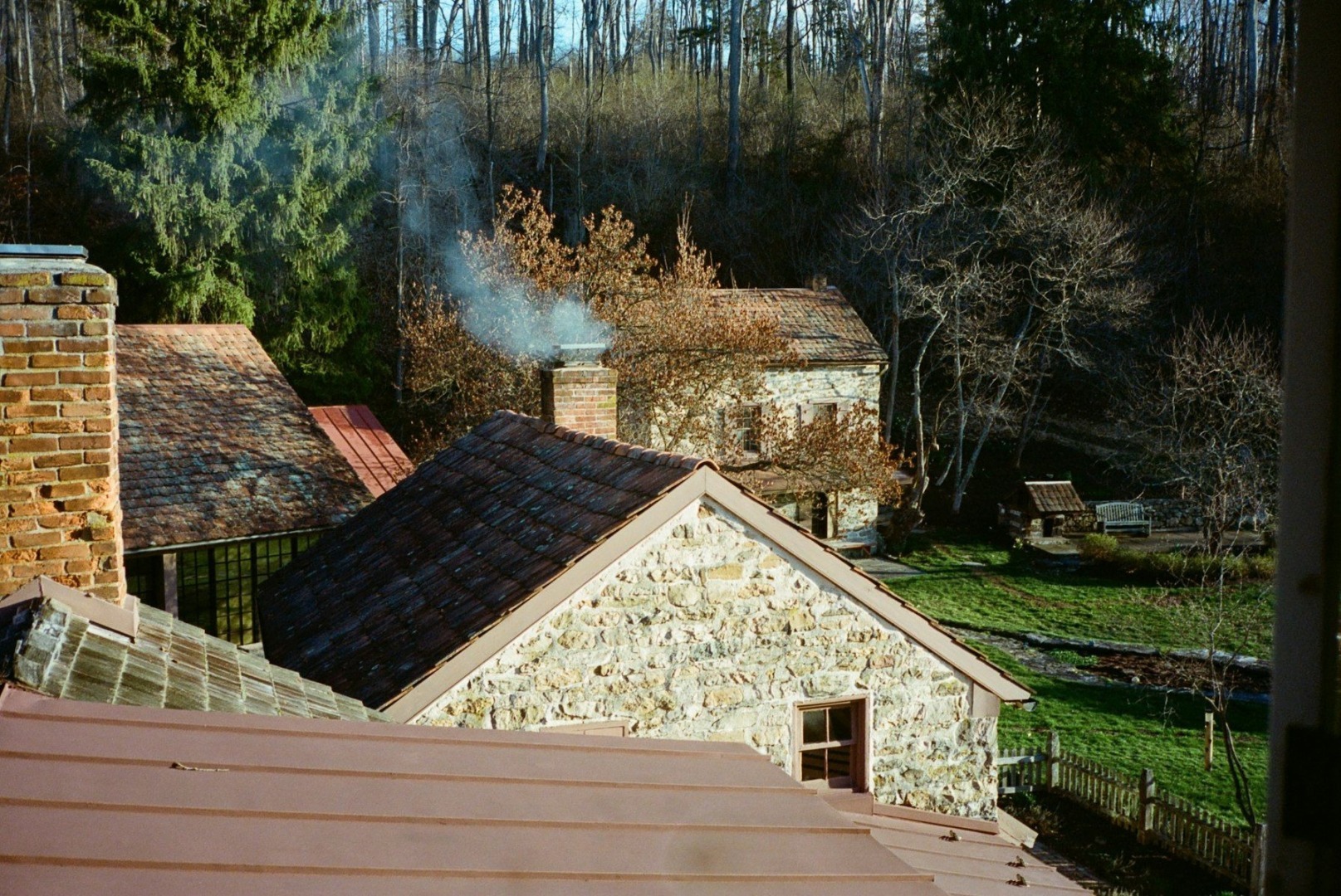 angajat, google, ferma, sanatate mintala