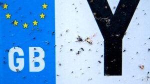 insecte, declin, studiu, marea britanie