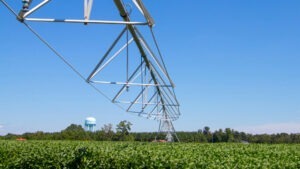 Apele Romane, apa pentru irigatii, legume