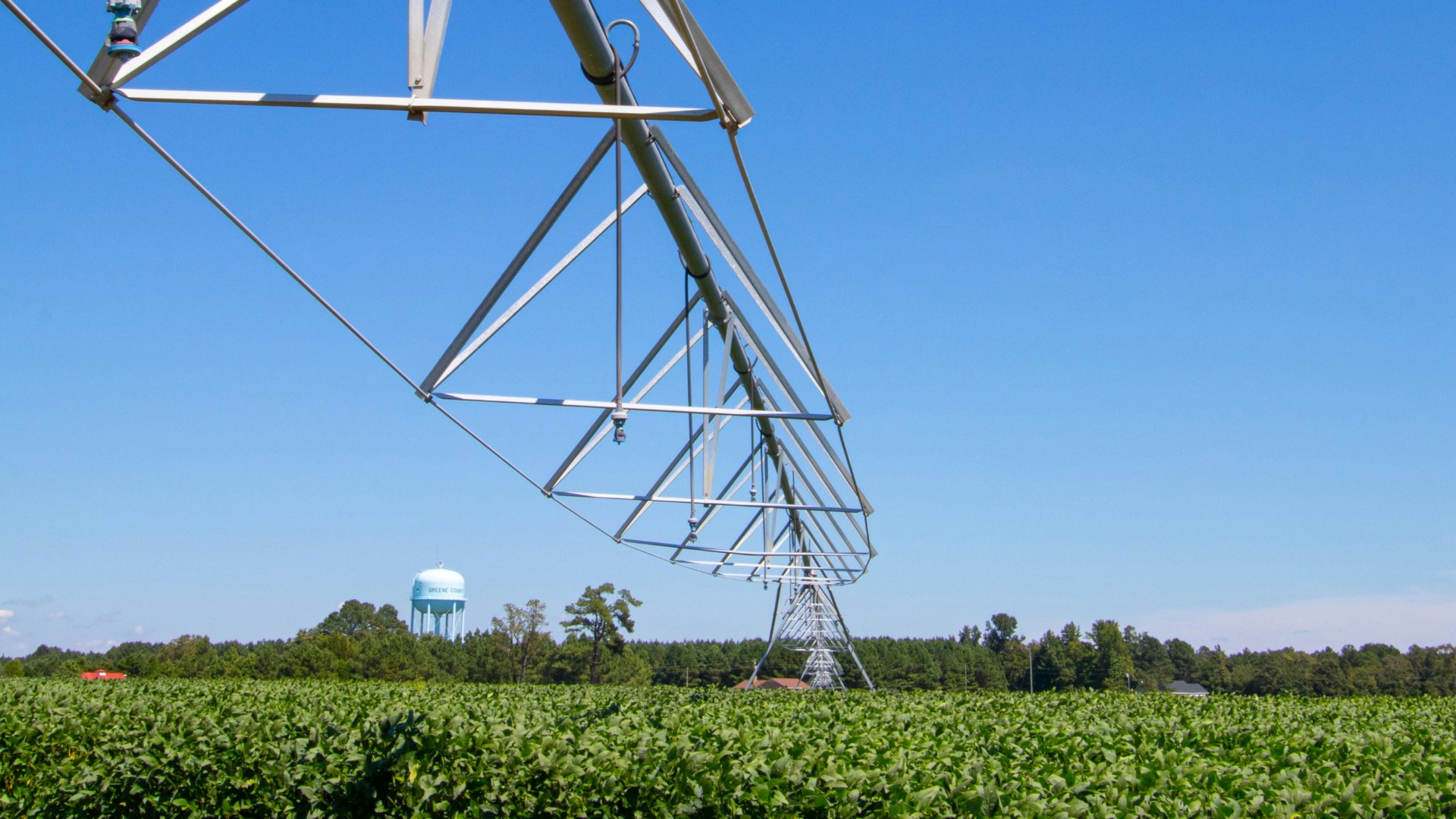 Apele Romane, apa pentru irigatii, legume