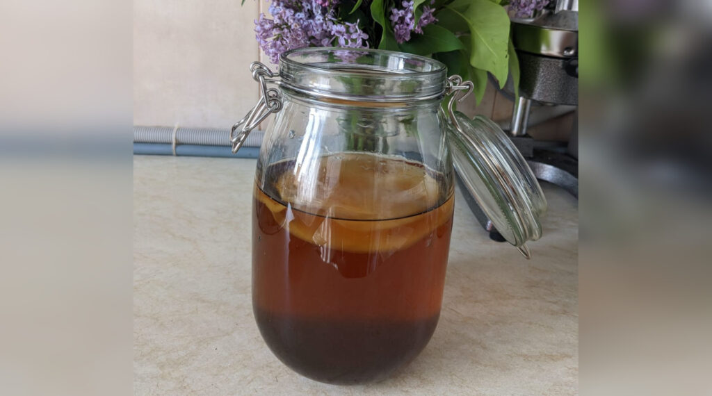 condiment, balonare, ceai, kombucha, ghimbir