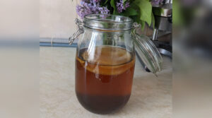 condiment, balonare, ceai, kombucha, ghimbir