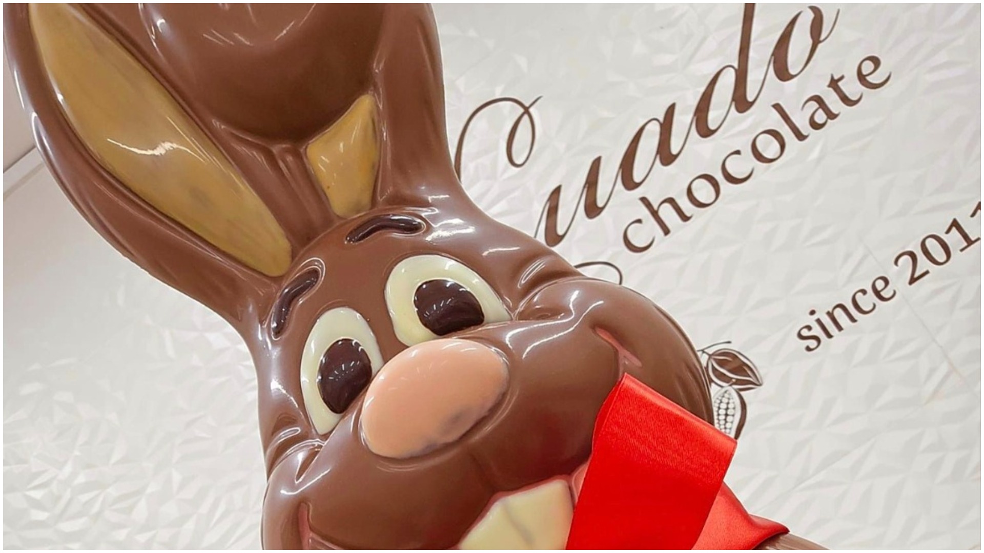 ciocolata, dorian lungu, ciocolata artizanala, preturi