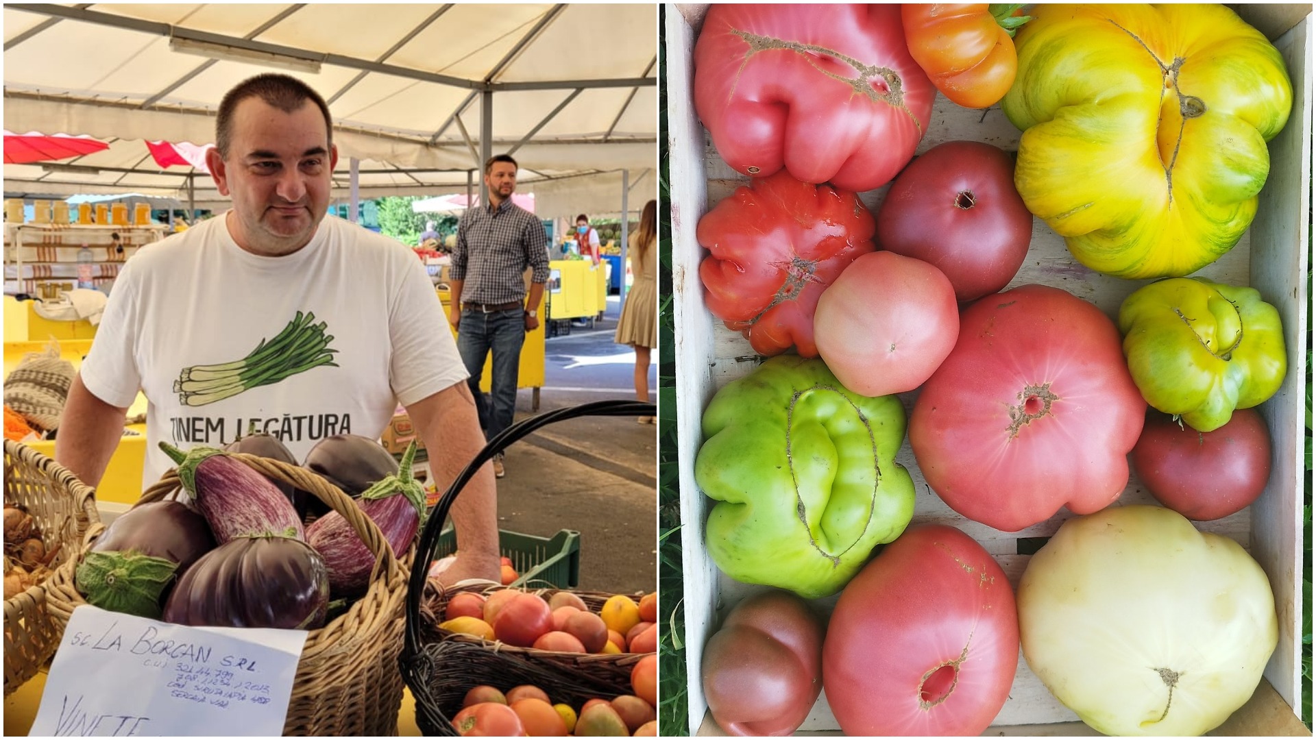 interviu lucian dragomir, legume bio, brasov