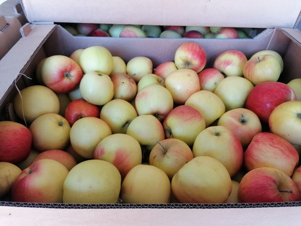 mere, Voinesti, Dambovita, livada