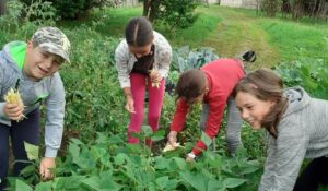 sticla, colectare sticla, sfantu gheorghe, bere