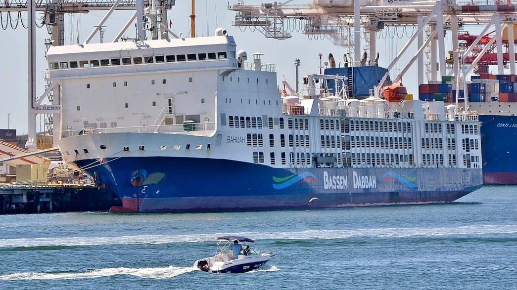 animale, israel, australia, nava