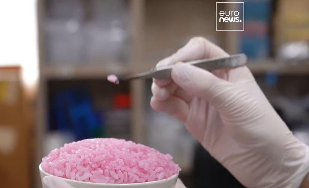 orez roz, proteine, celule animale, orez