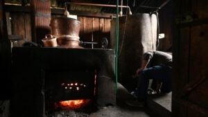 palinca, mancaruri impachetate, carnuri impocălite, palincie