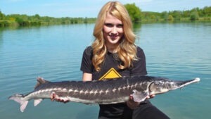 sturioni, eliberati, tulcea, politia de frontiera