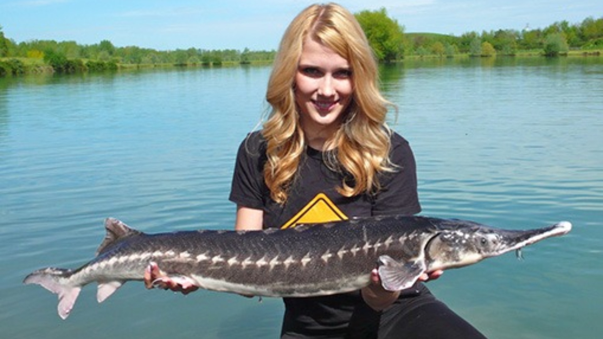 sturioni, eliberati, tulcea, politia de frontiera