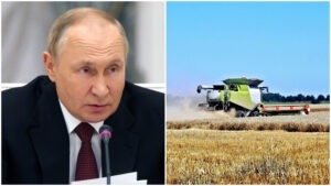 Rusia-isi-sporeste-exportul-de-grau-cu-cerealele-din-teritoriile-ucrainiene-ocupate