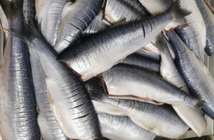 traditii de florii cu scrumbii, peste, parcul izvor, bucuresti