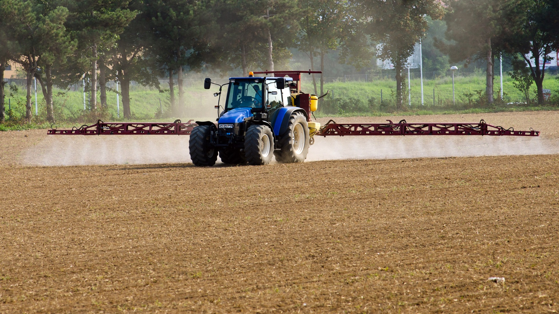 substante, erbicide, bistrita-nasaud, plante