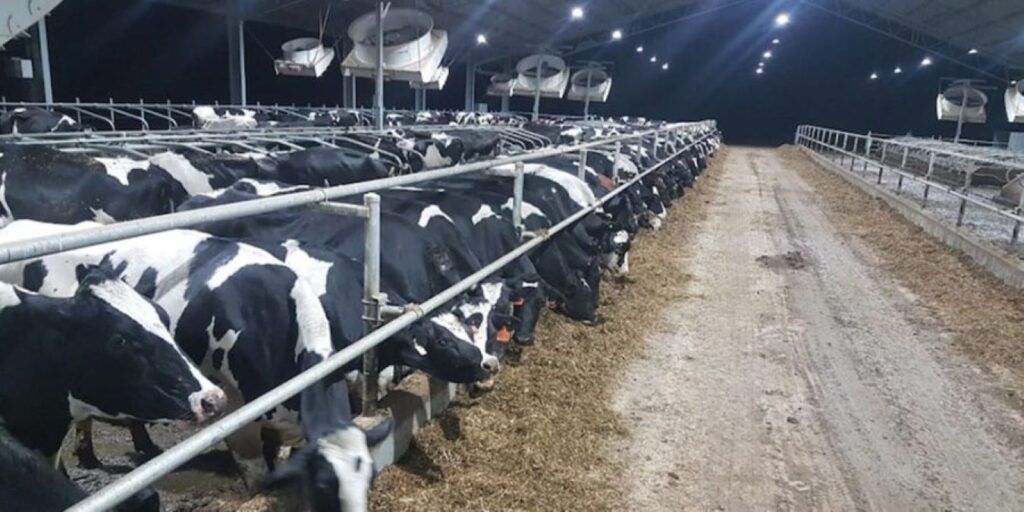 creste-la-nivel-mondial-cererea-de-lapte-si-branzeturi-Green-Deal