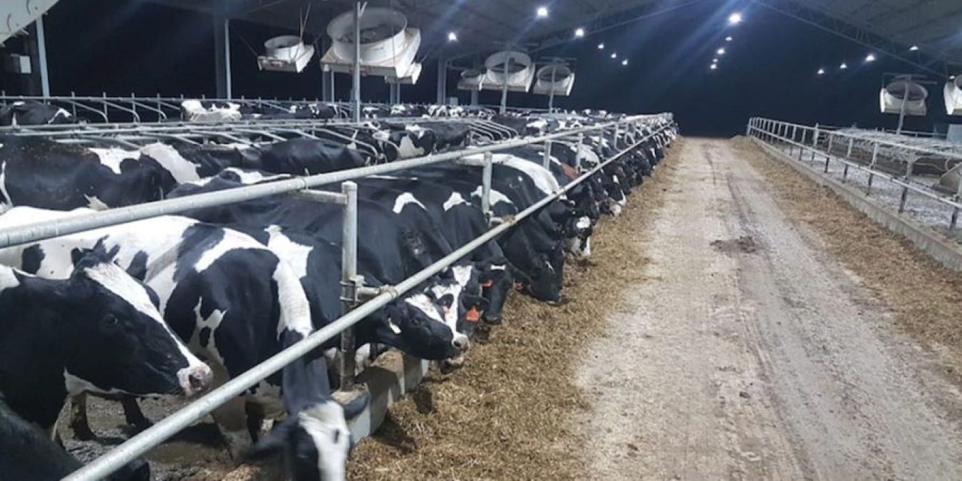 creste-la-nivel-mondial-cererea-de-lapte-si-branzeturi-Green-Deal