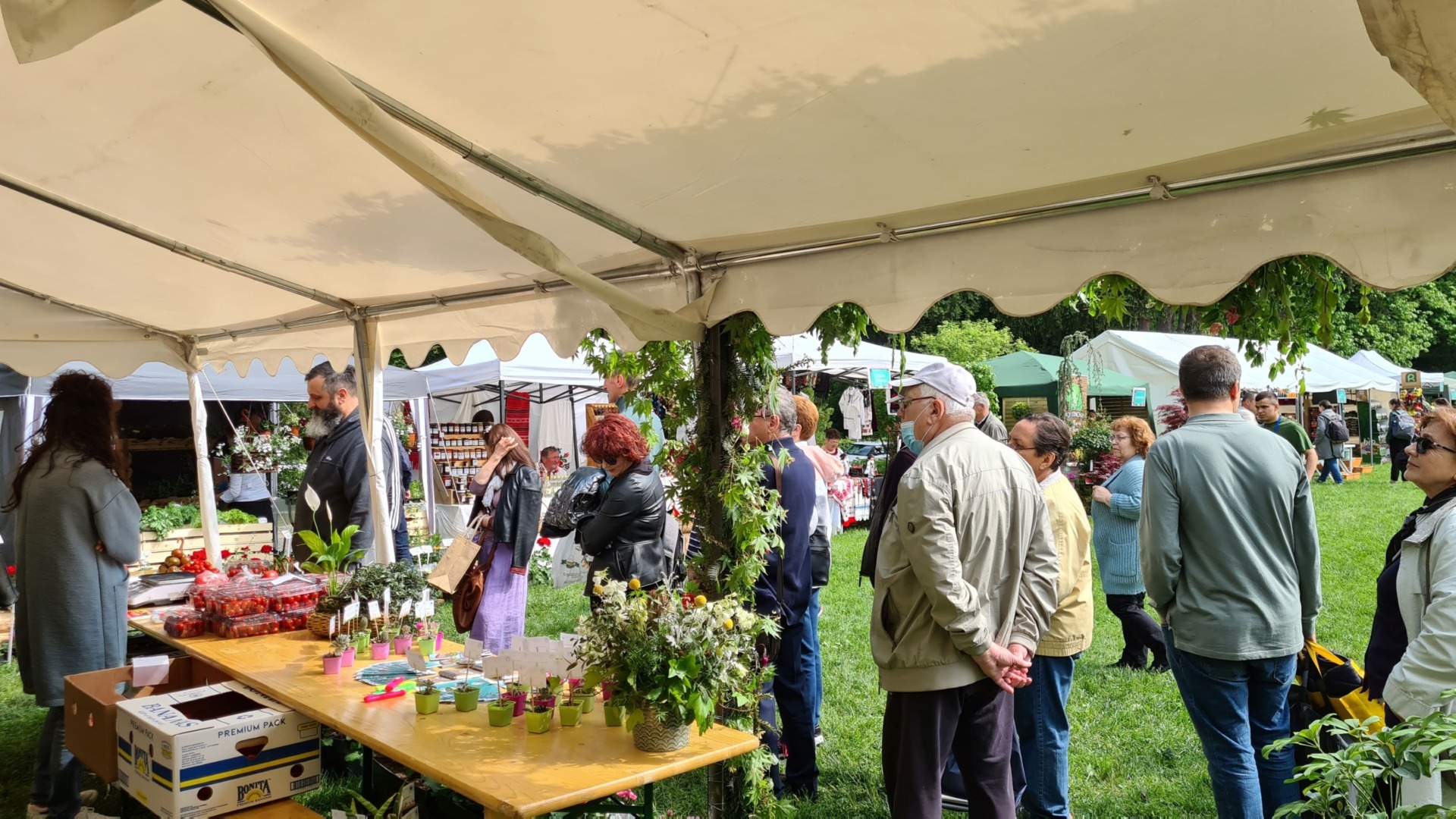 zilele horticulturii clujene, plante, usamv, cluj-napoca