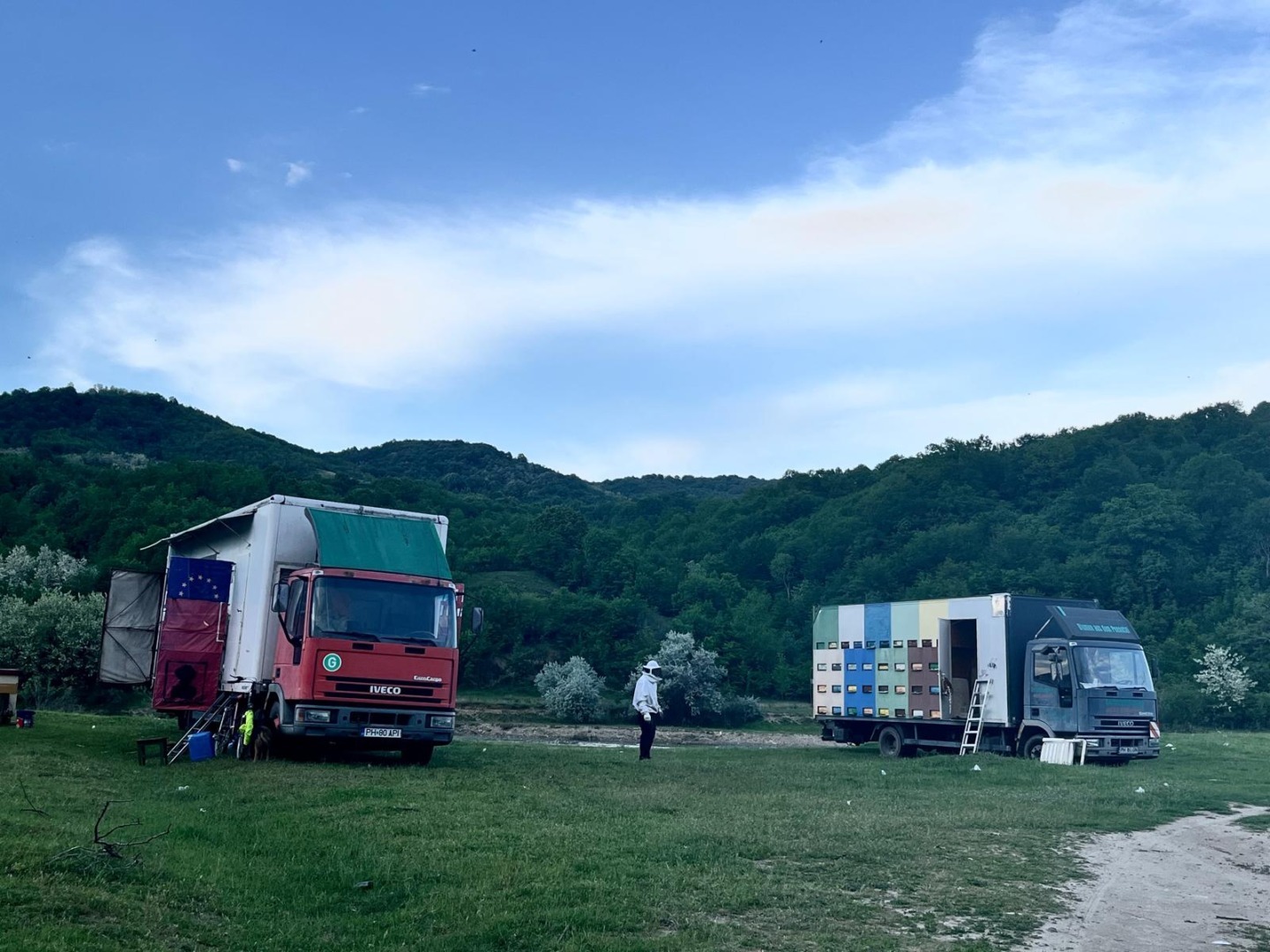 apicultori, familii de albine, albine, ulei