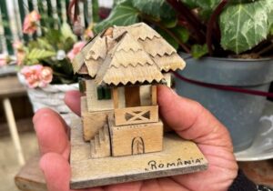 sat, agricultură, gospodărie