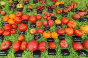 toxine, anne sander, parlamentul european, ppe