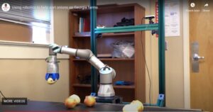 roboti, Statele Unite, legume, ceapa