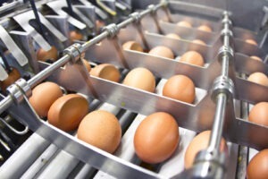 criza ouălor în Statele Unite