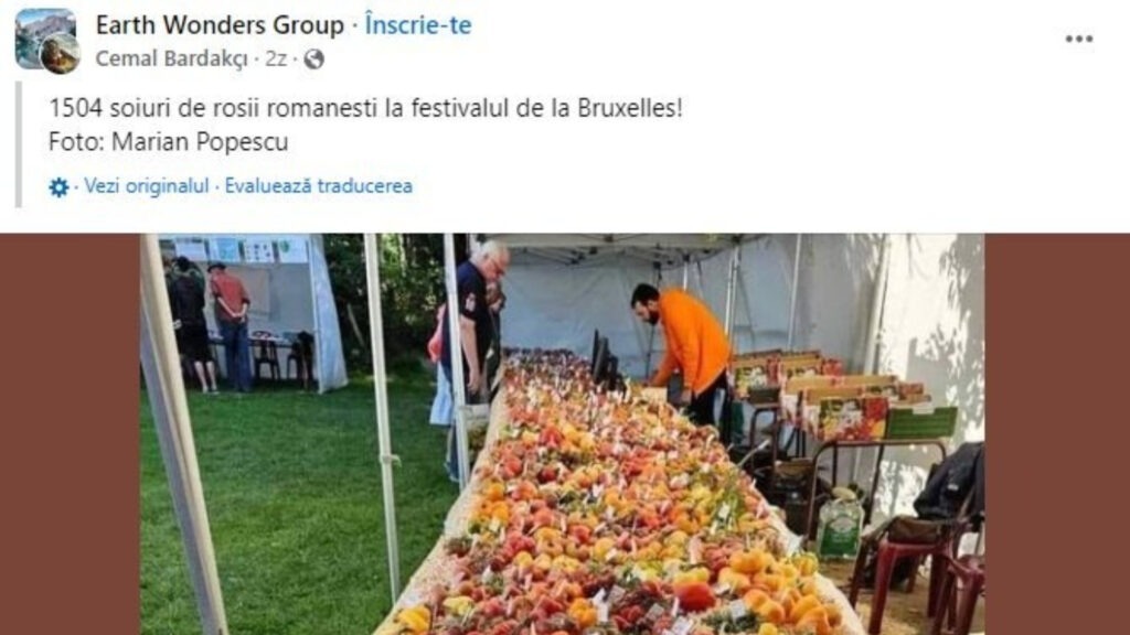 fake news, rosii, imagine, rosii romanesti