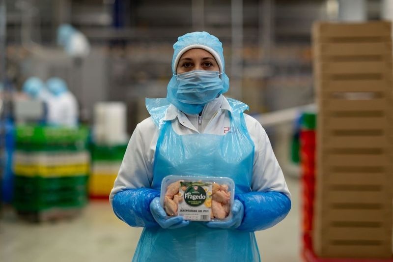 fragedo, brand, brand finance 2024, transavia