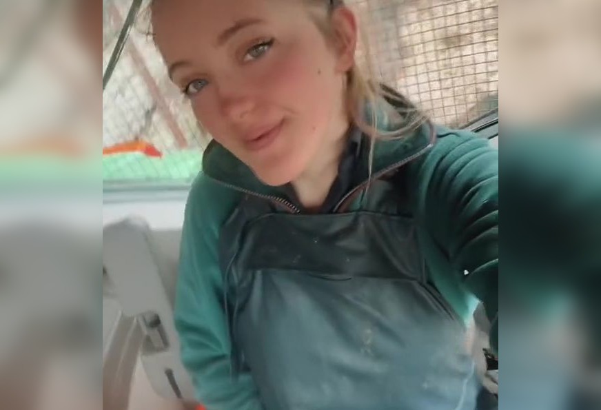 tanara, tractor, agricultura, profit