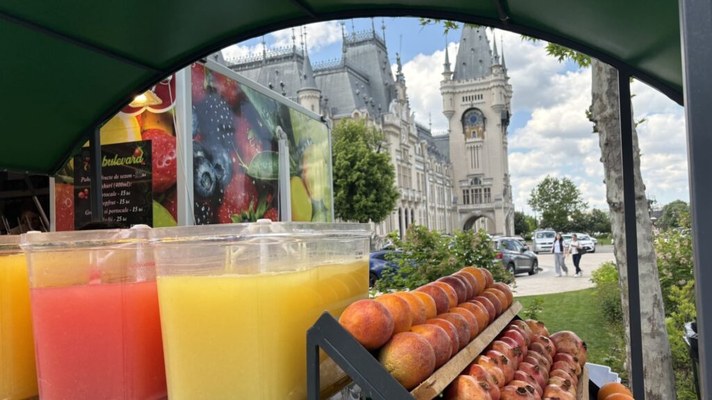 Iasi, Palatul Culturii, fructe
