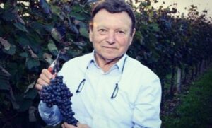 vigneti pittaro, vinuri, angajati, piero pittaro